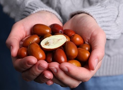 فروش عناب اوکراینی